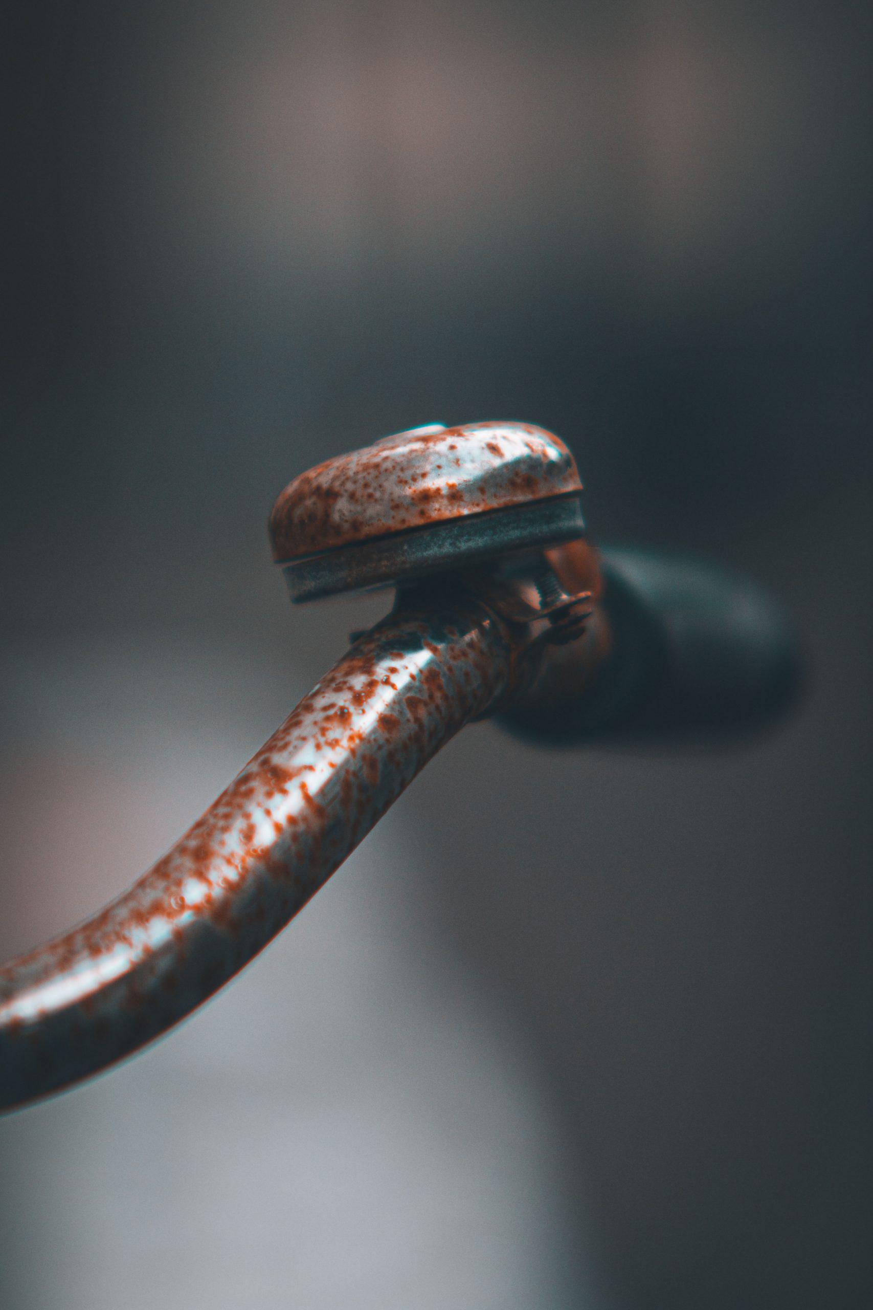 Random foto 3 scaled