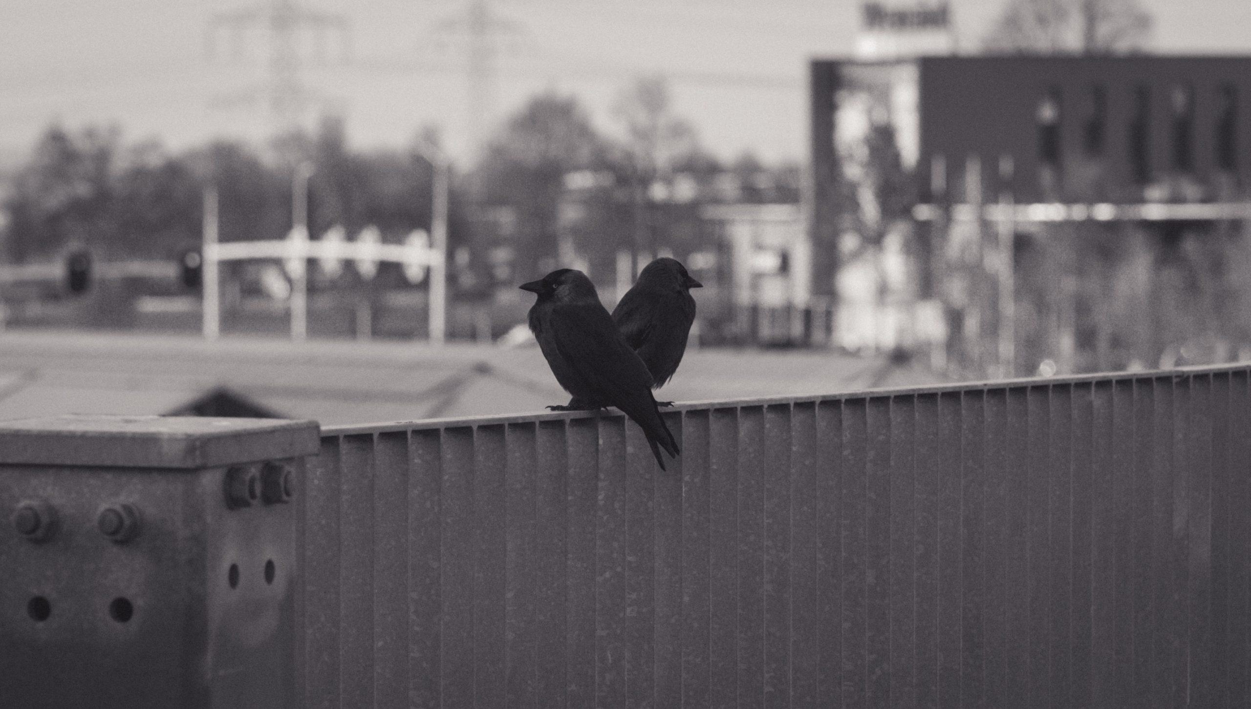 Street foto 2 1 scaled