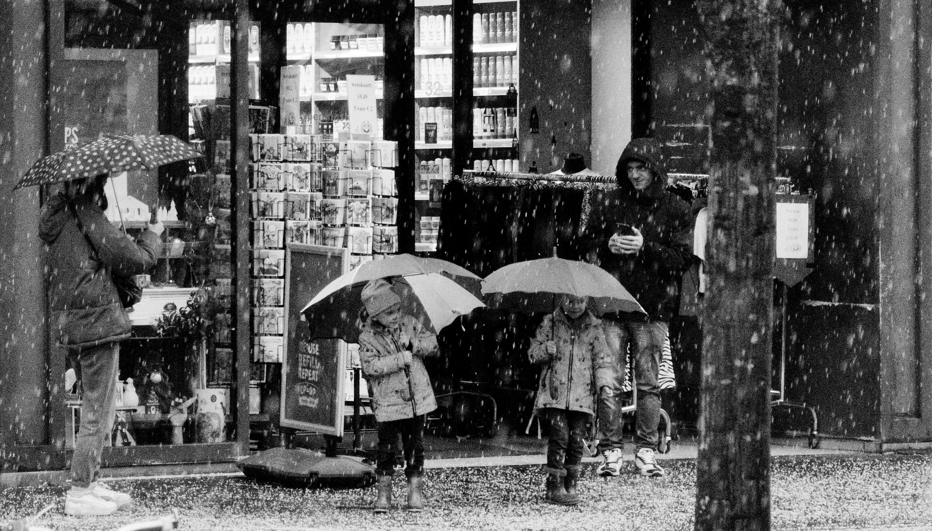 Studiorinsma sophie opisop